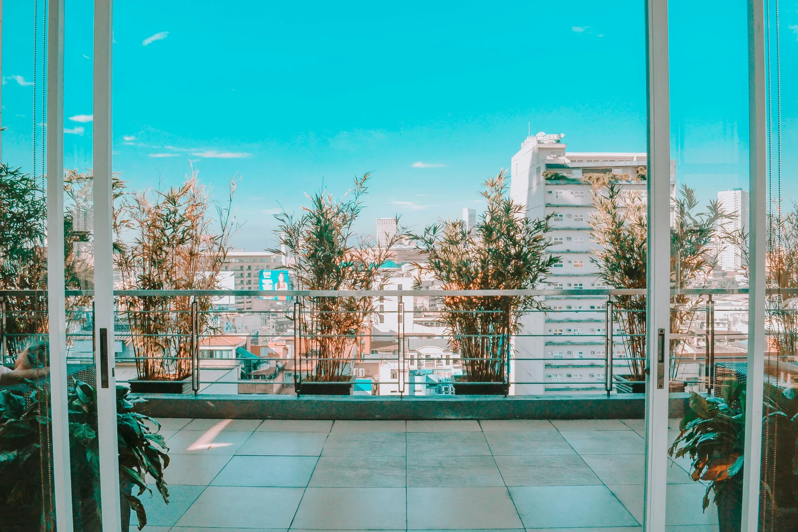How to transform your small balcony into an urban garden?